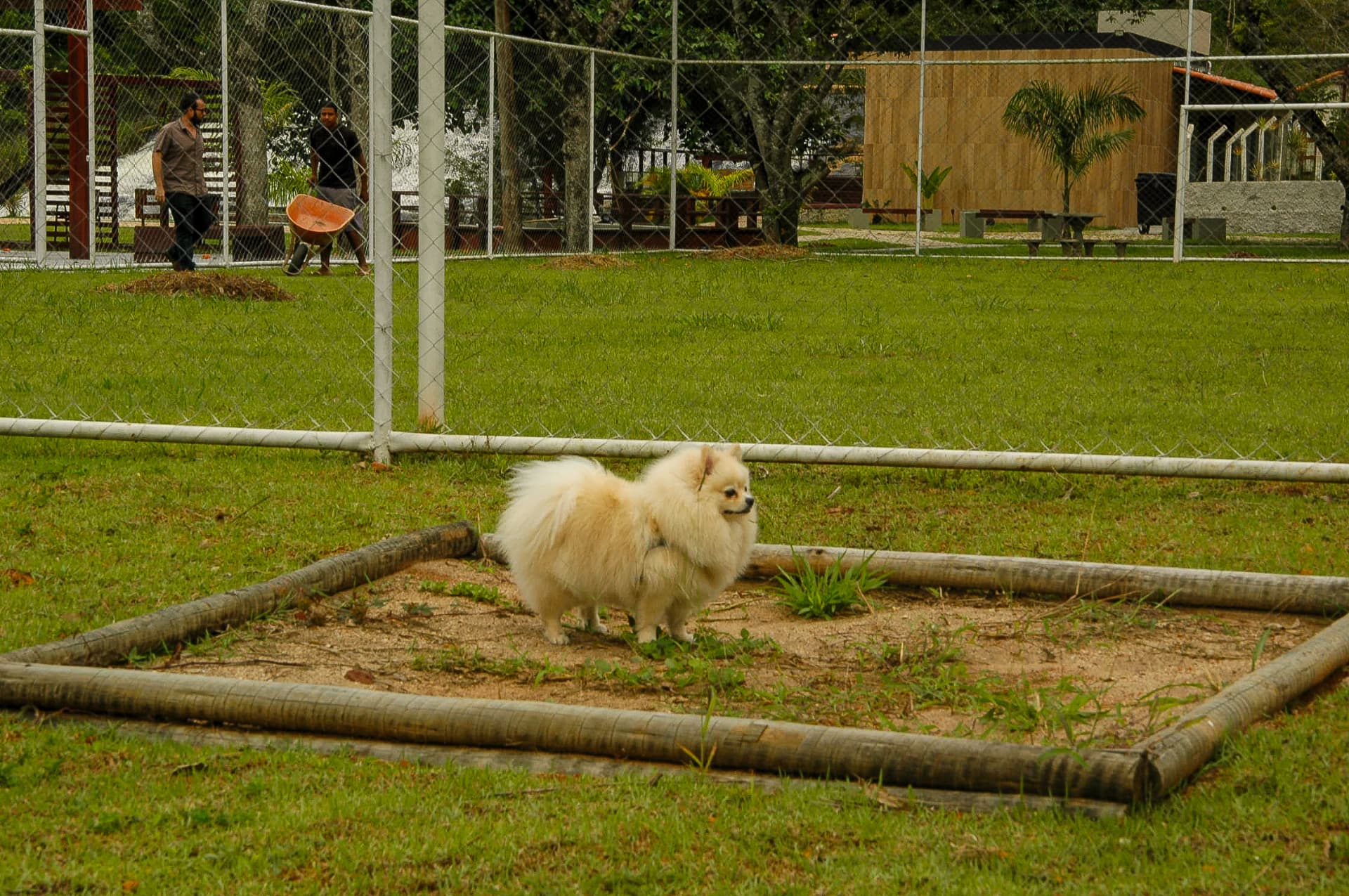 Área pet cercada e gramada do condomínio